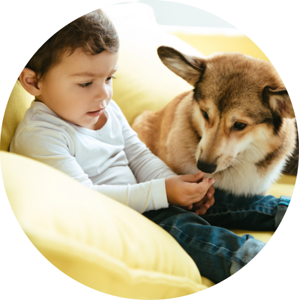 adorable-boy-sitting-on-sofa-with-cat-and-dog-2022-02-02-03-58-43-utc